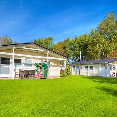 Krabbe * Hedwigenkoog